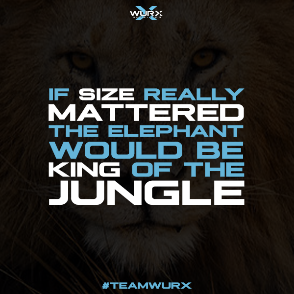 If size mattered, the elephant would be king of the jungle | 10 Motivational Quotes