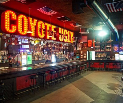 Coyote Ugly Las Vegas