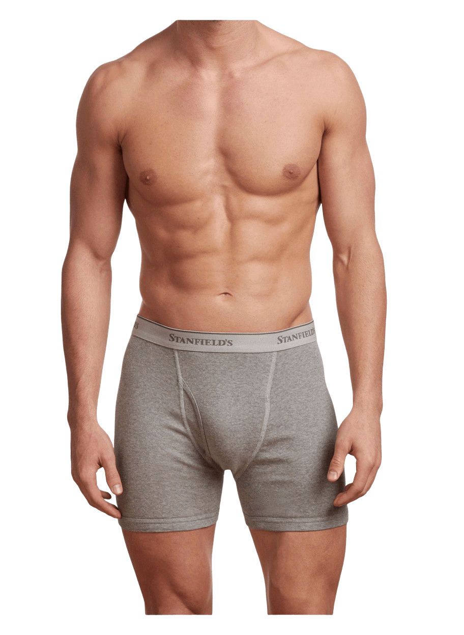 Stanfield's Premium Cotton 2-Pack Boxer Briefs - 2516