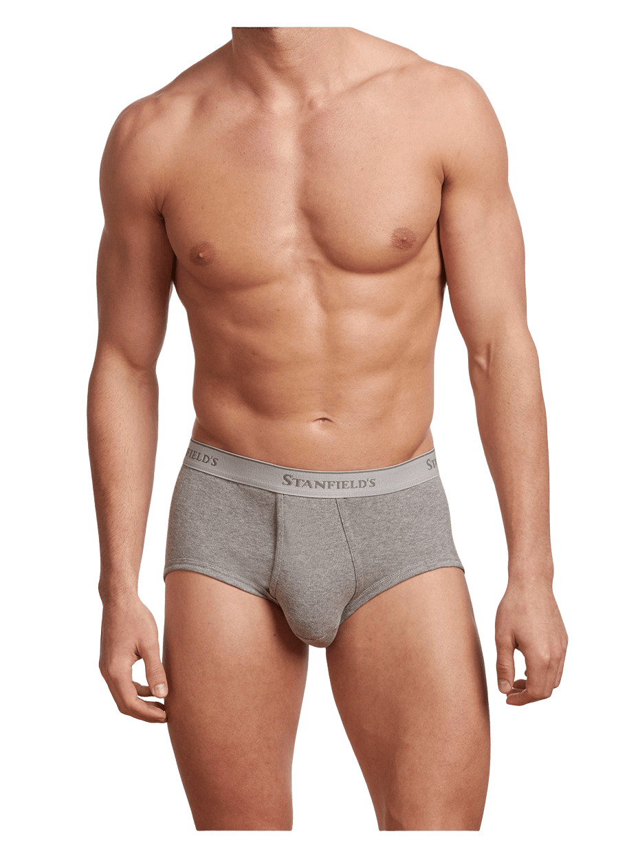 Stanfield's Premium Cotton Brief 3Pack - 2503