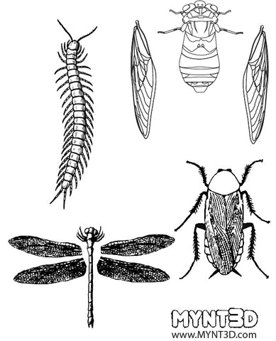 Free template for the MYNT3D printing pen | makes bugs like cockroaches, fireflies, cicadas and centipedes with a 3D pen