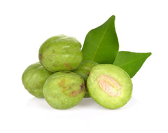 myrobalan fruit for natural dyeing