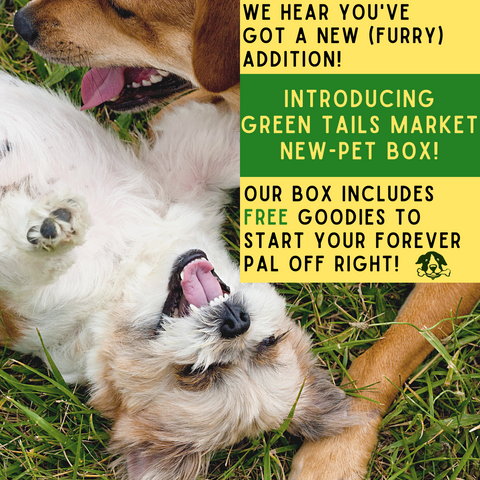 green dog market
