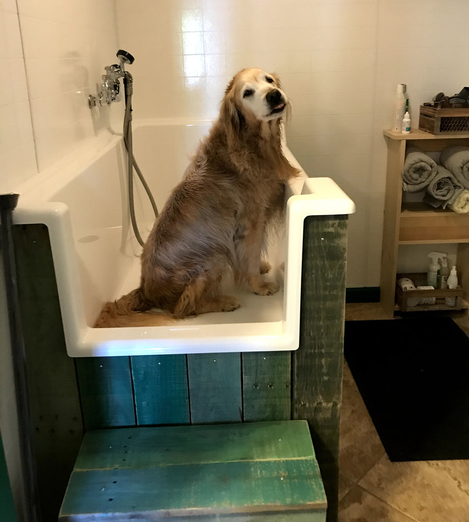 dog wash