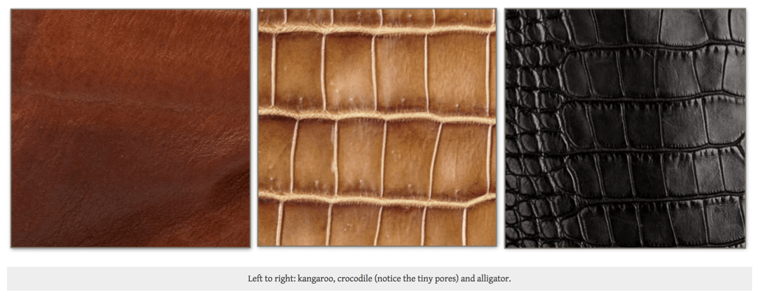exotic leather types