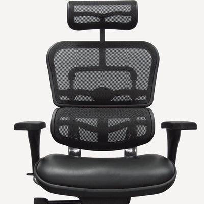 Ergohuman High Back Mesh Leather Executive Office Chair Lem4erg Re