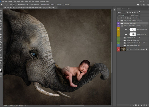 Elephant Digital Background for Newborn Photographers – LSP Actions by  Lemon Sky