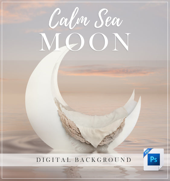 Luxury Moon Digital Background | Multi-layer | Tailor to your style – LSP  Actions by Lemon Sky