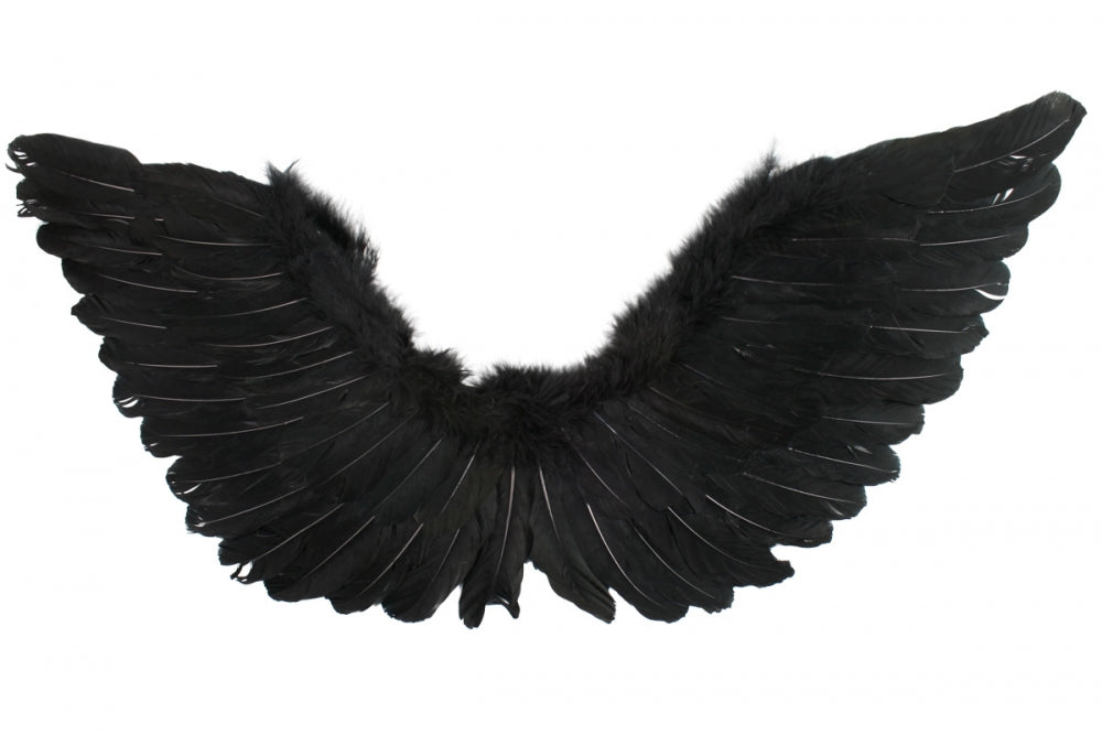 black angel wings