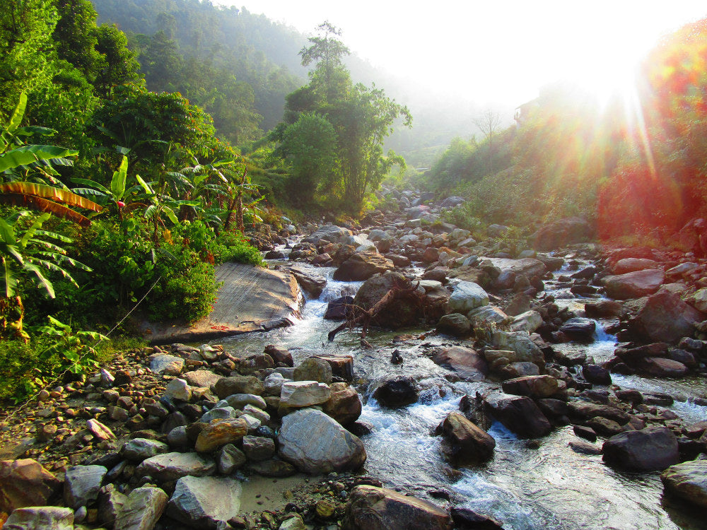 Himalayas Trekking