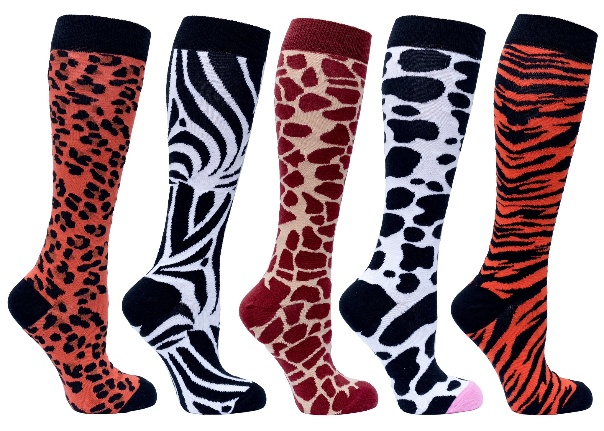 Women 5-Pack Knee High Gift Box Socks - Socks n Socks