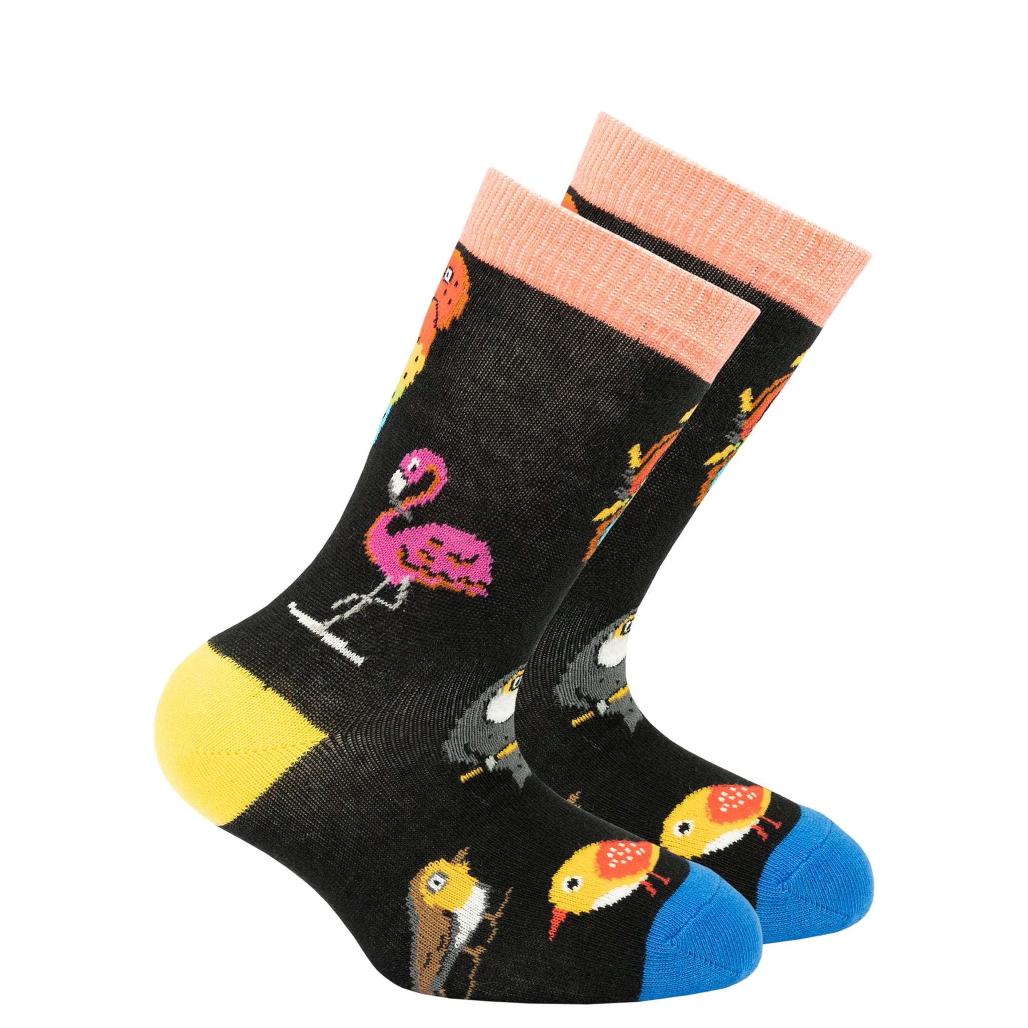 Kids Wild Birds Socks - Socks n Socks