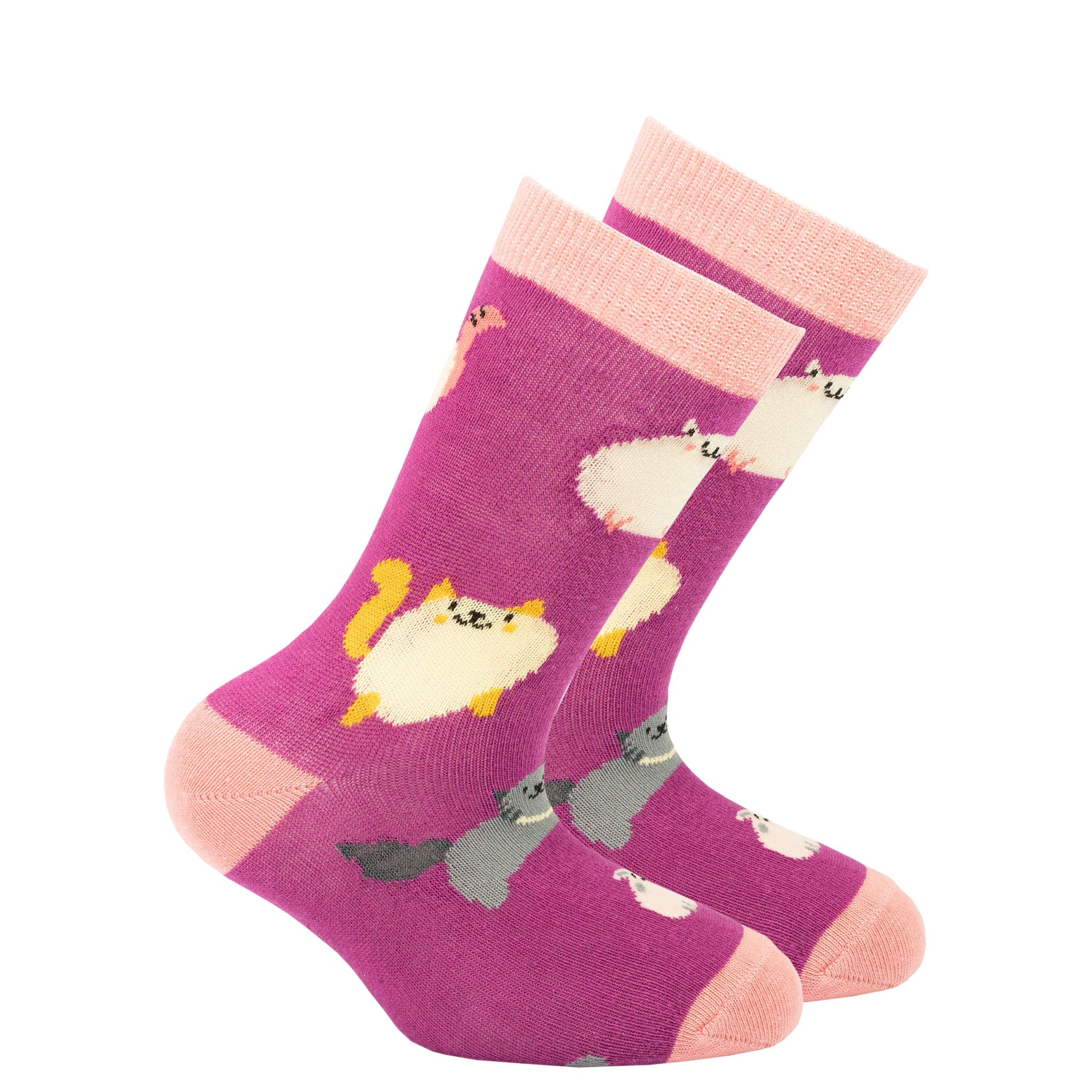 Kids Fatty Cats Socks - Socks n Socks