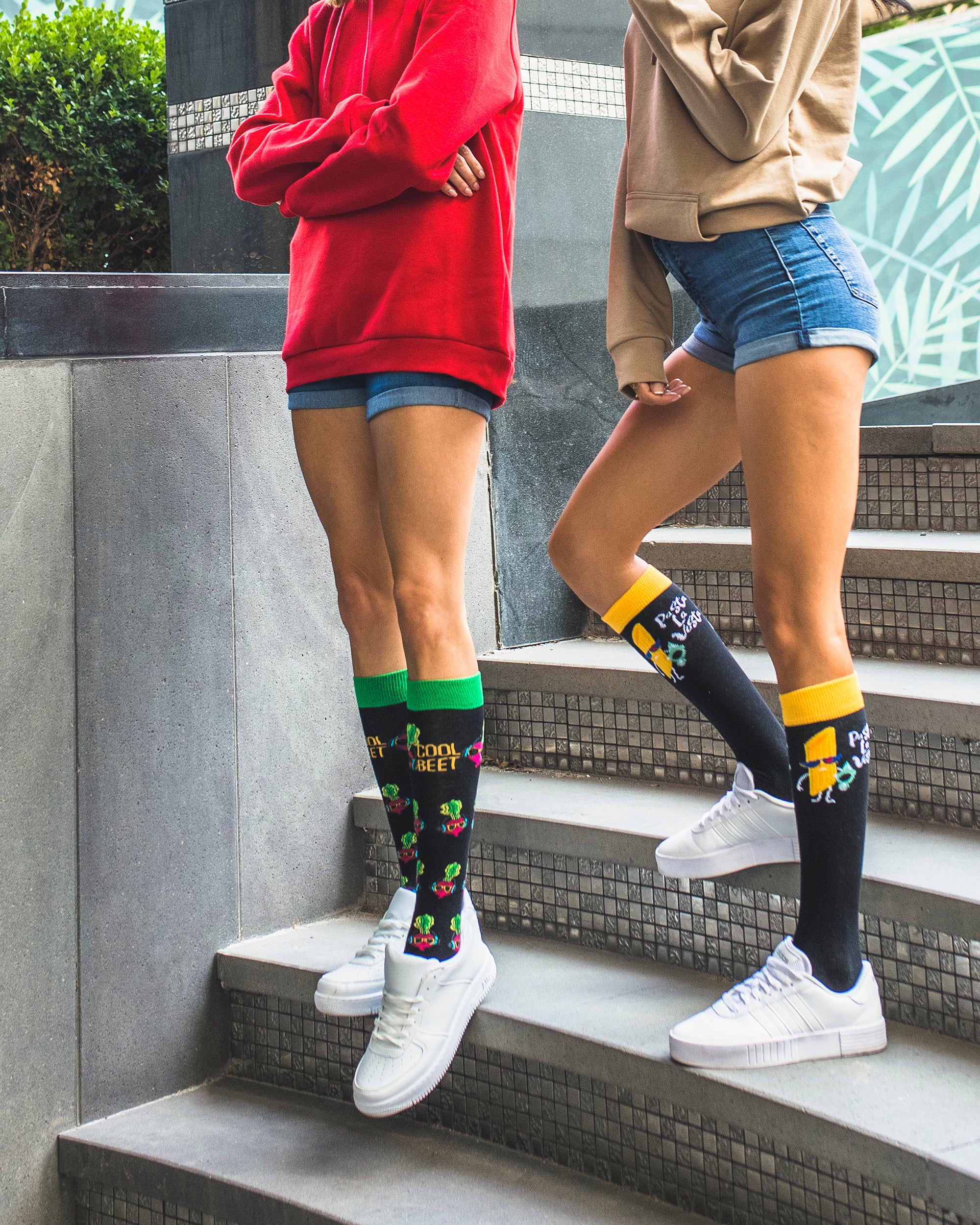 recompensa retirarse acoplador Women Knee High Socks - Socks n Socks