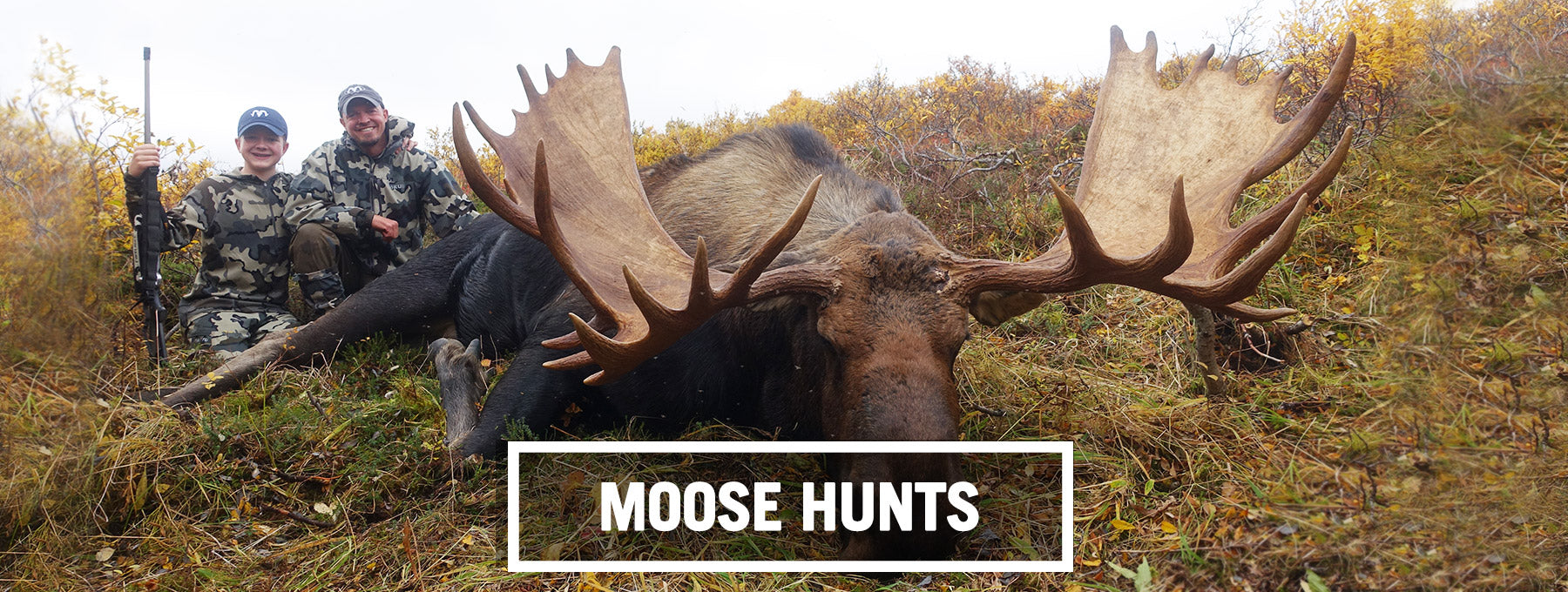 MOOSE