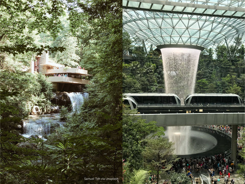 Falling Water House et la cascade de l'aéroport Jewel Changi