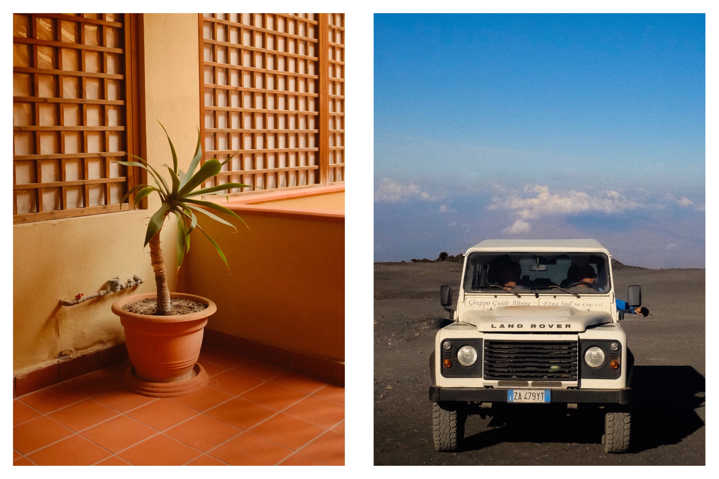 Plants and cars in Sicily