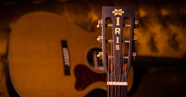 Iris Guitar Company Slotted Headstock with logo acoustic guitar at russo music