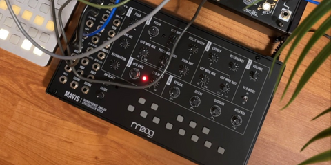 Moog Mavis