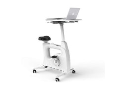 Flexispot V9 Deskcise Pro Desk Bike