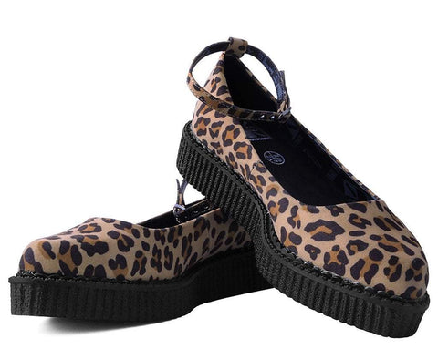 tuk creepers leopard