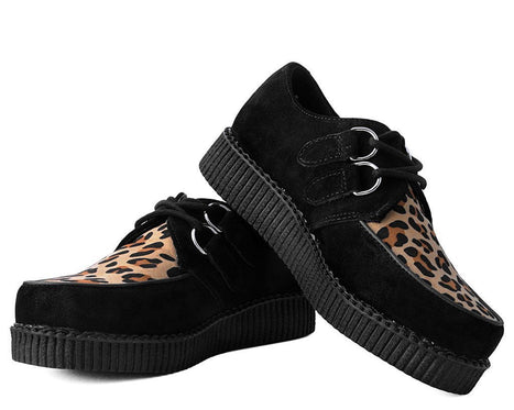 leopard creepers