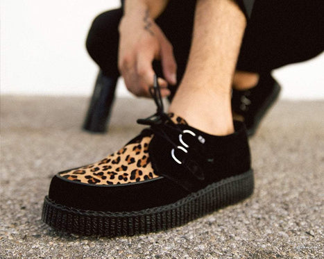 tuk creepers leopard