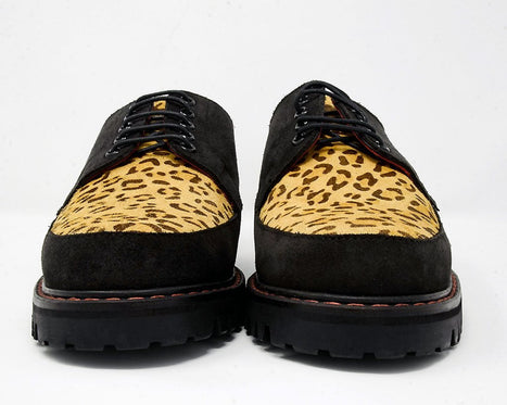 tuk leopard creepers