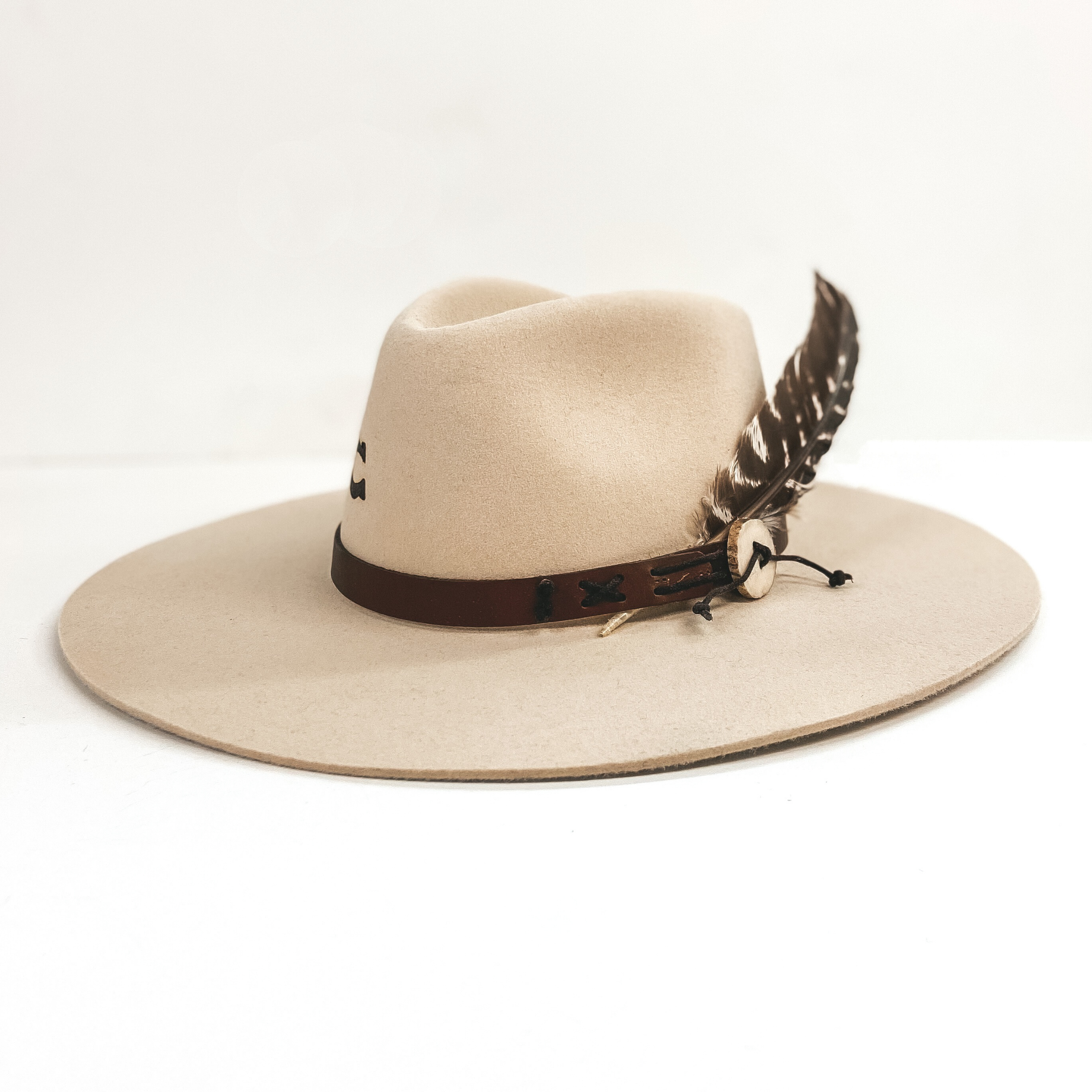 Snakeskin Band Brown Felt Hat – High Desert