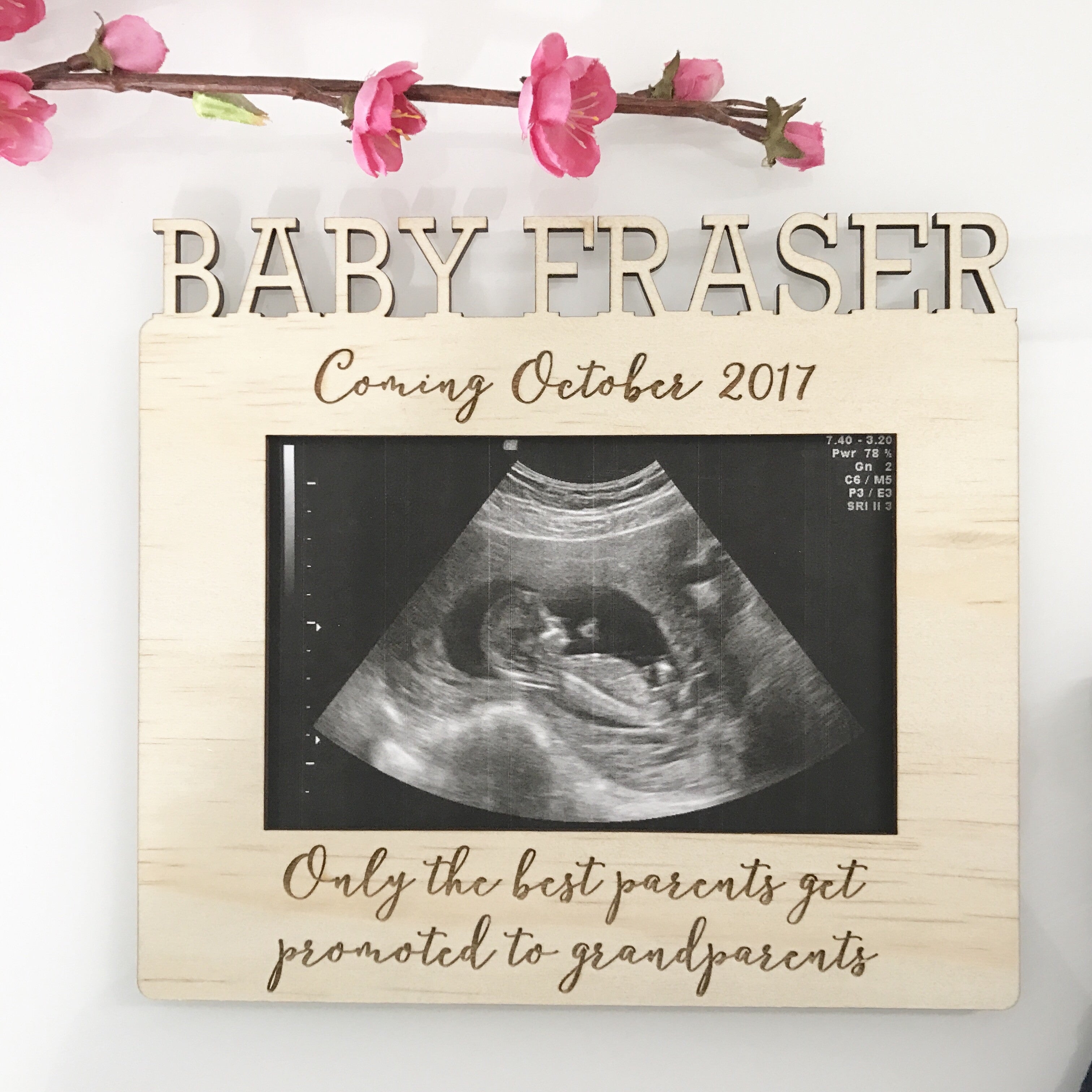 Pregnancy Announcement Printed Frame - CMC Gold