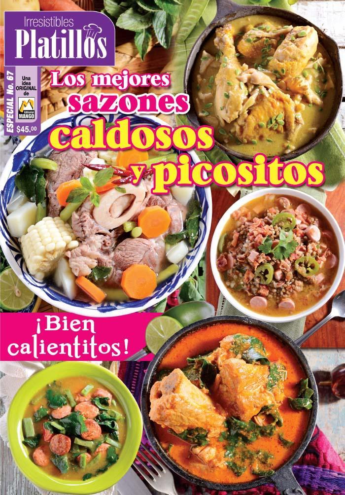 Irresistibles Platillos Especial 31 - Botanas de Cantinas vol. II