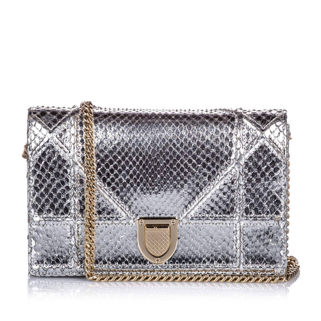 Christian Dior Silver Metallic Python Diorama Crossbody Bag – I MISS ...