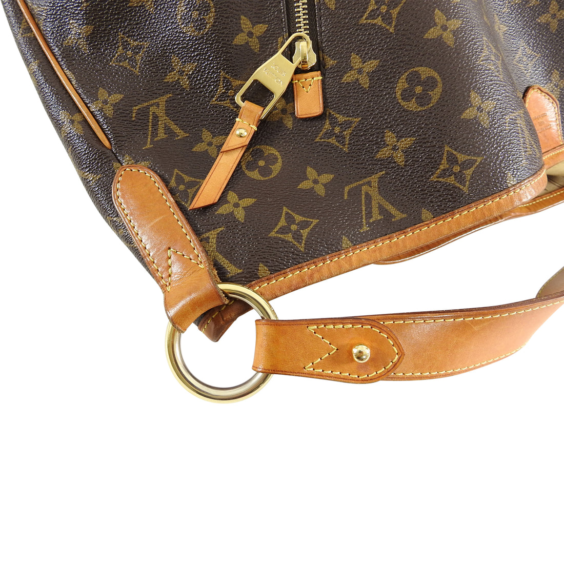 Louis Vuitton Monogram Canvas Delightful PM at Jill's Consignment