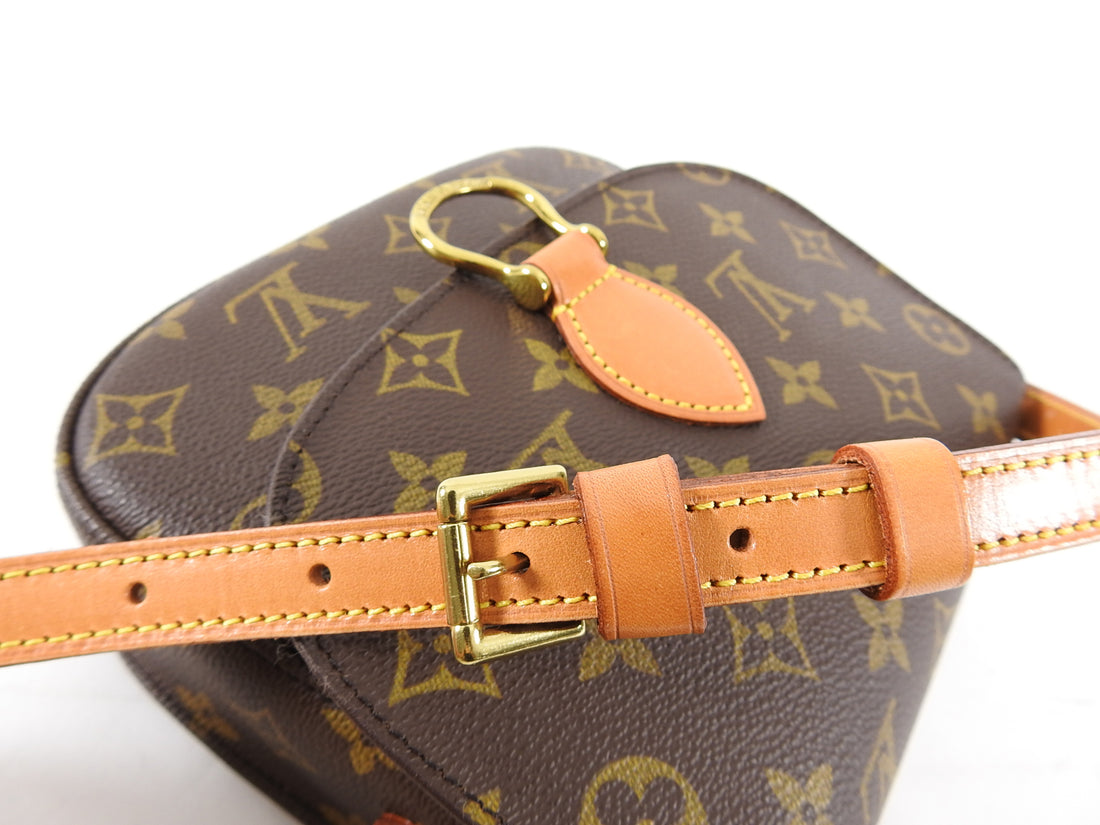 RE UPLOAD*Review: Louis Vuitton St. Cloud GM 