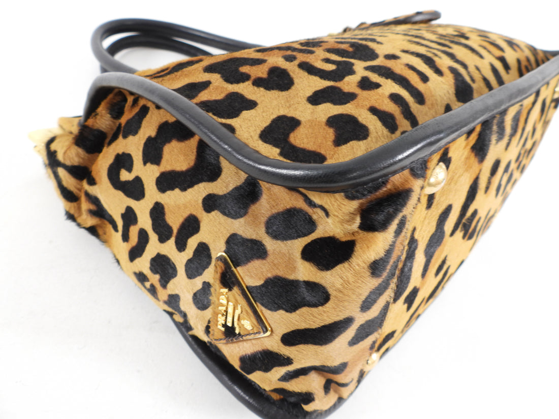 Prada Leopard Calf Borsa Cerniera Tote Bag – I MISS YOU VINTAGE