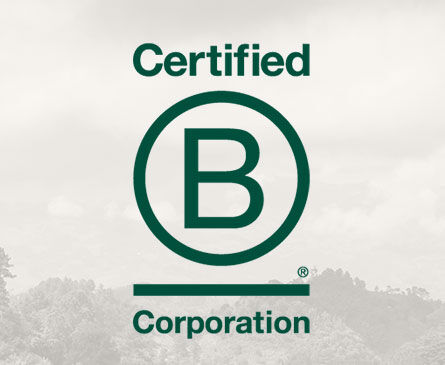 Növelték a B Corp környezeti pontszámukat azáltal, hogy csökkentették a hulladék- és energiafelhasználást, valamint folyamatosan vizsgálják termékeik élettartamát.