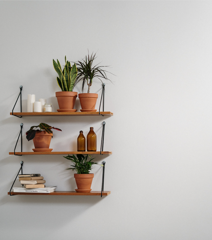 shelving with plant ideas