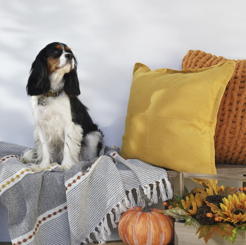 Pillow Bundle: Autumn Colors