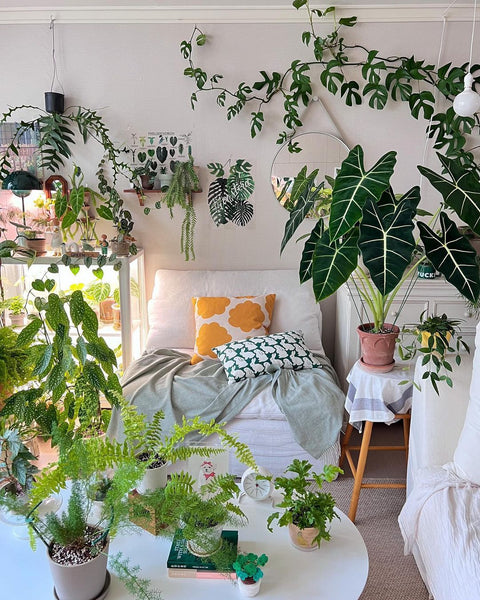 Indoor Garden