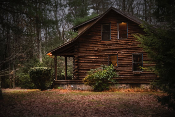 earthy log cabin