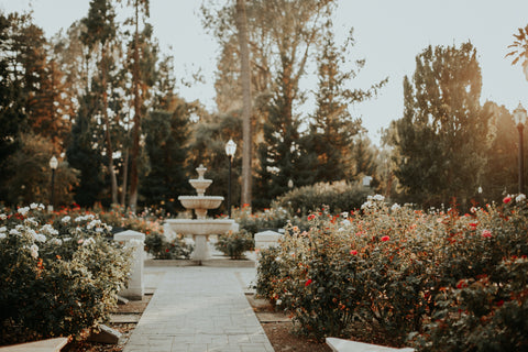 garden fountain