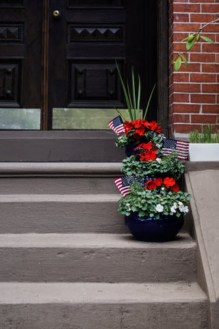 front porch flowers