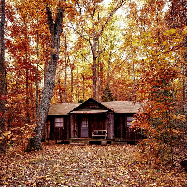 log cabin in the woods