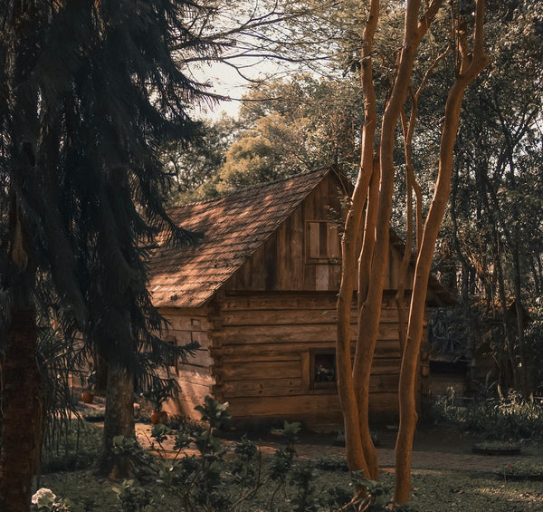 log cabin in the woods