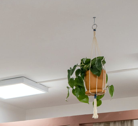 Macrame Plant Hanger