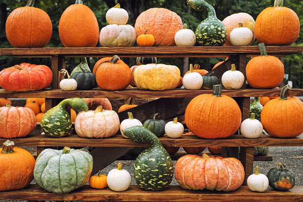 Playing with Gourds