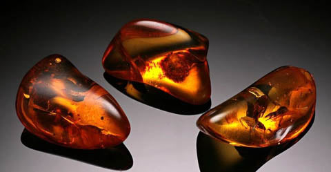 Amber Polished Gemstones