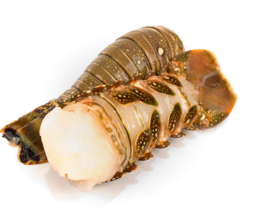 Warm Water Lobster Tails: 2 pack – Graham & Rollins, Inc.