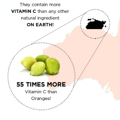 Kakadu Plums 55 times more vitamin C than oranges