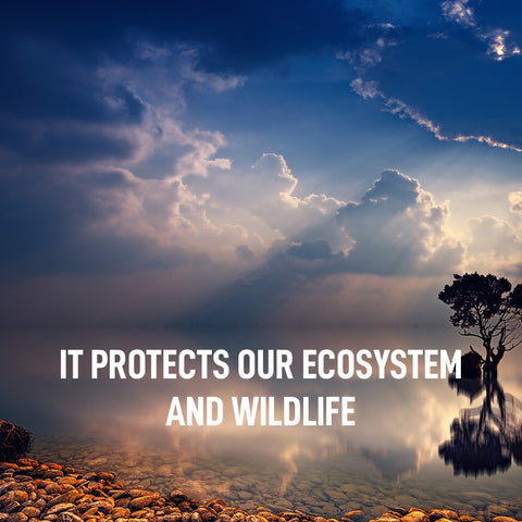 It protects our ecosystem and wildlife